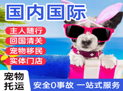 长安航空快运国际宠物托运 【国